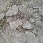 Soil Conservation and Sand Stabilization Agent