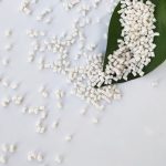 Biodegradable Blown Film Masterbatch ST (Tapioca)