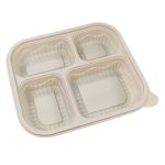 Bio-based Disposable Food Containers