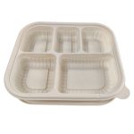 Bio-based Disposable Food Containers