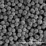 Carbon Nanoflowers (CNF)