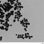 Titanium Dioxide Nanoparticles (PVP Modified)