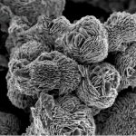 Flower-like Copper Oxide Microspheres (CuO)