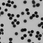 Titanium Dioxide Nanoparticles