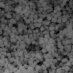 Nano Zirconium Oxide Powder