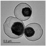 Carbon Nanocages