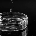 Bio-based Methanol