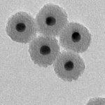 Mesoporous Silica-Coated Gold Nanoparticles