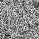 Iron Nanowires