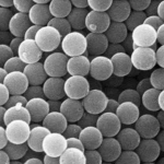 Streptavidin-Modified Gold Nanoparticles