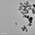 Tin Oxide Nanoparticles (SnO₂)