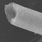 Titanium Dioxide Nanotubes