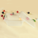 Disposable Square Box