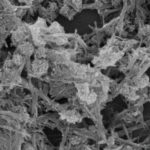 Manganese Oxide Nanowires
