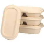 Biodegradable Disposable Eco-friendly Food Box