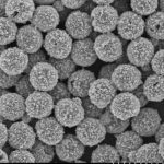 Aminated Magnetic Beads